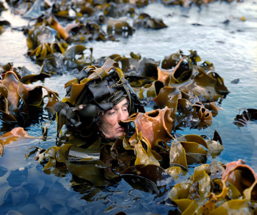 A person in a body of water covered and surrounded by seaweed in daytime.