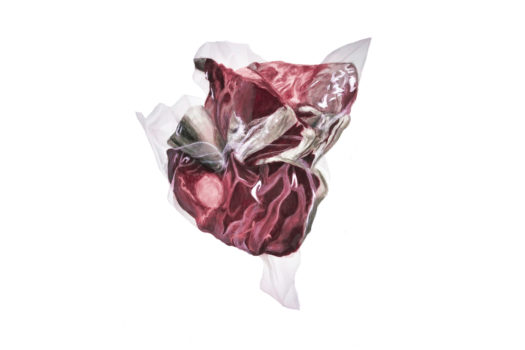 A watercolour painting of meat packaged in clear plastic against a white background.